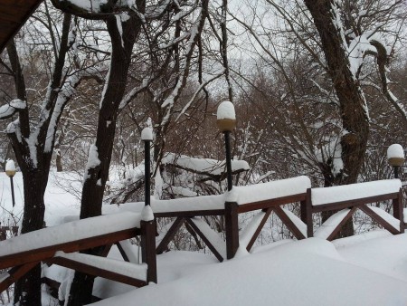gallery-image-02